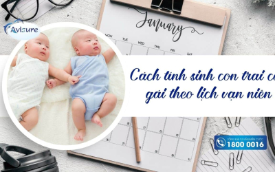 Cách tính sinh con trai con gái theo lịch vạn niên năm 2026